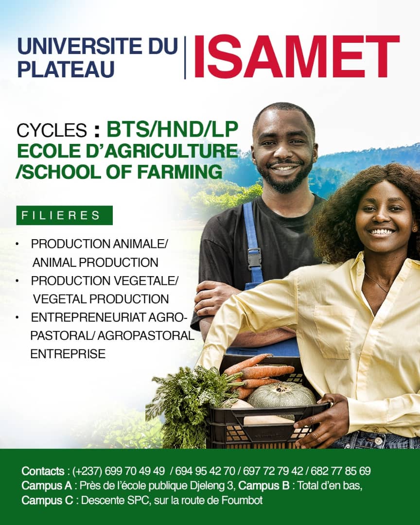 Formation DQP ET CQP