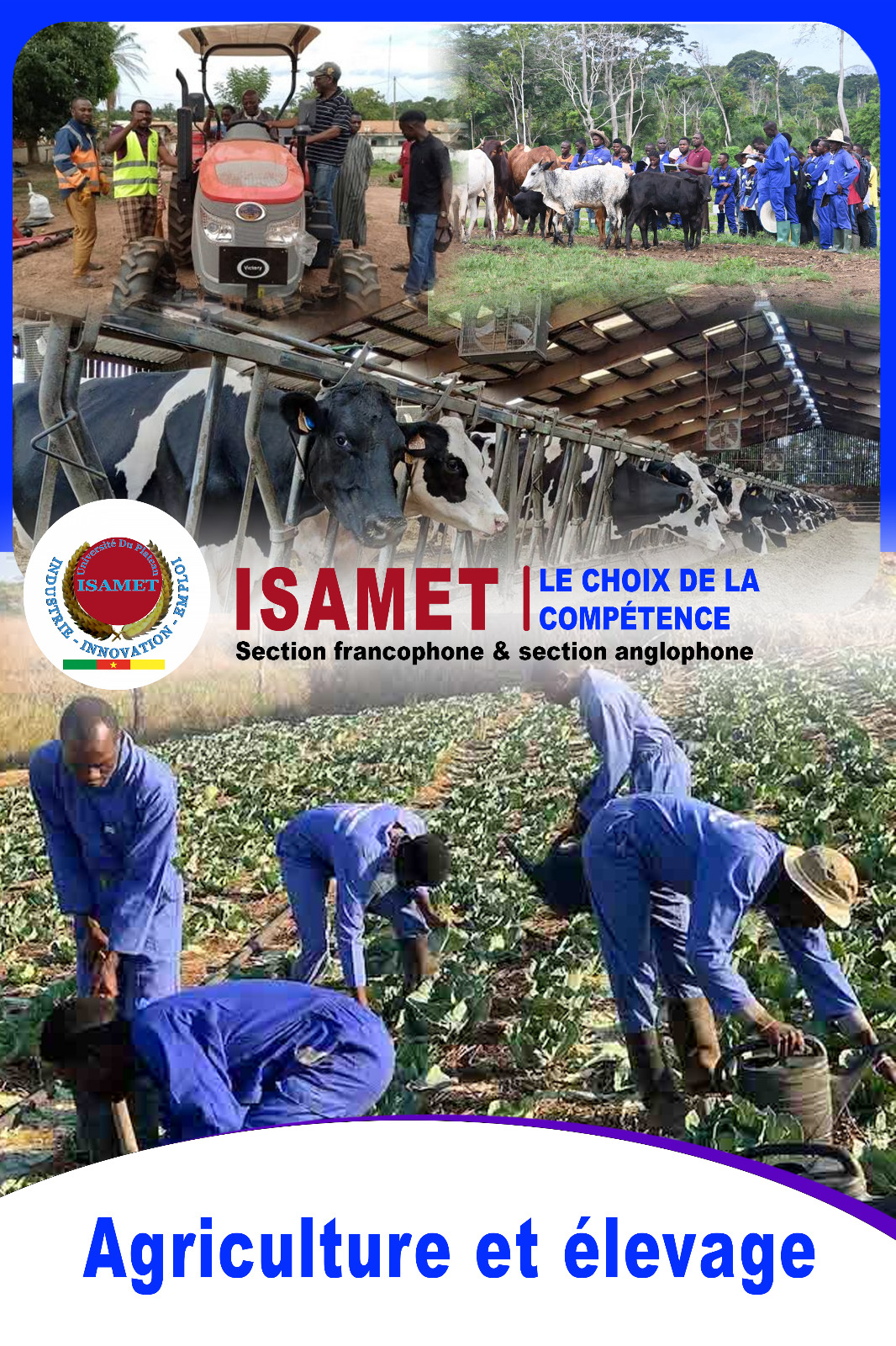 Activités ISAMET